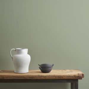 Terre Verde wall paint by Annie Sloan painted on a wall