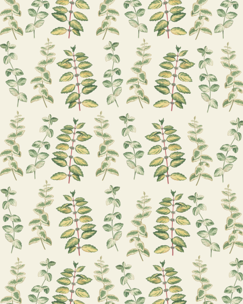Mint Decoupage von Annie Sloan