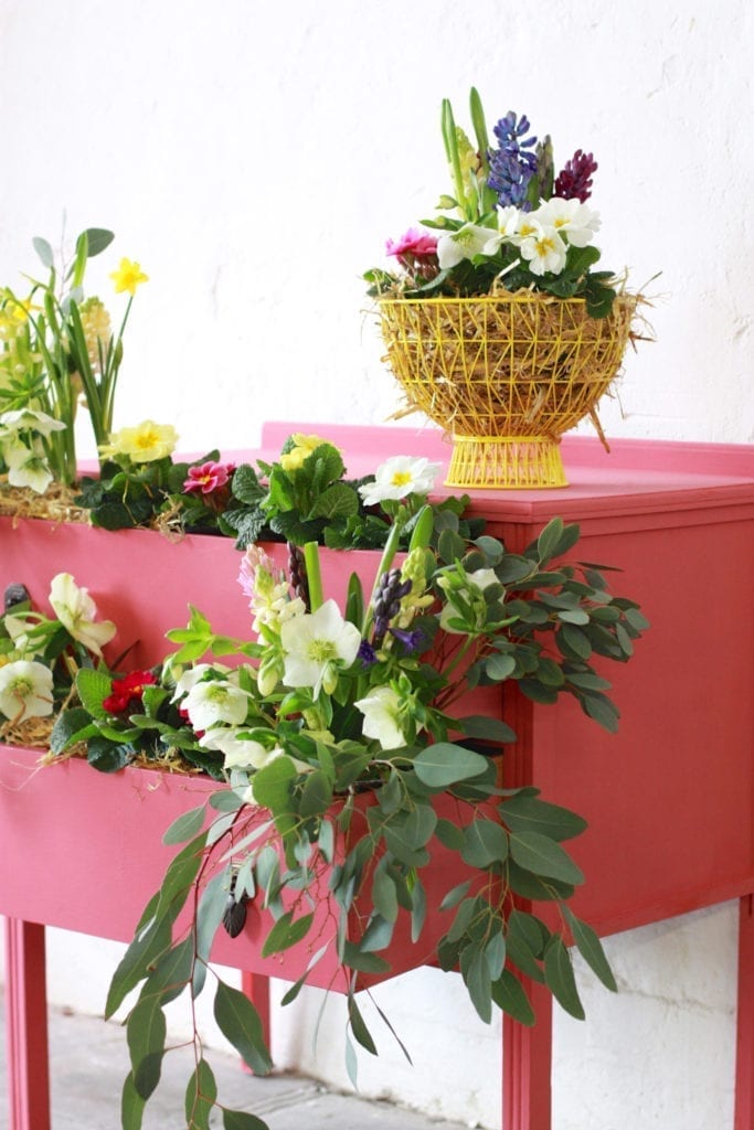 Coral hot pink chest of drawers by Annie Sloan Painters in Residence Abigail Ryan Bell painted with a mix of Chalk Paint®