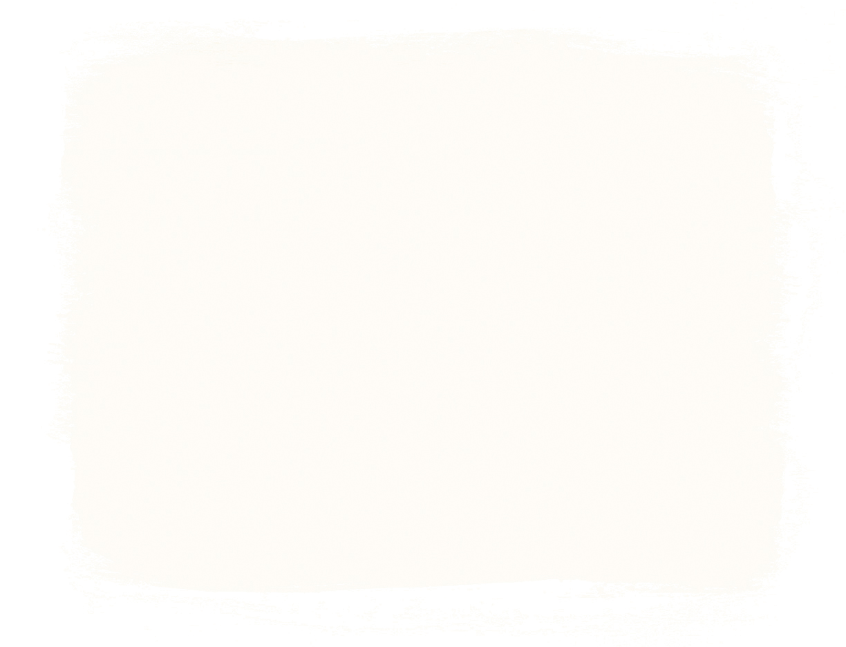 Annie Sloan Paint Swatch Pure