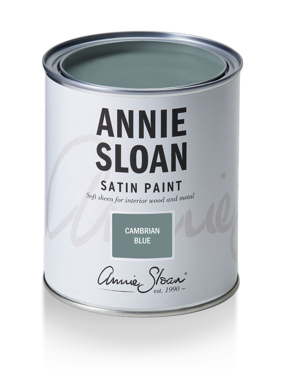 Cambrian Blue Satin Paint Tin Image