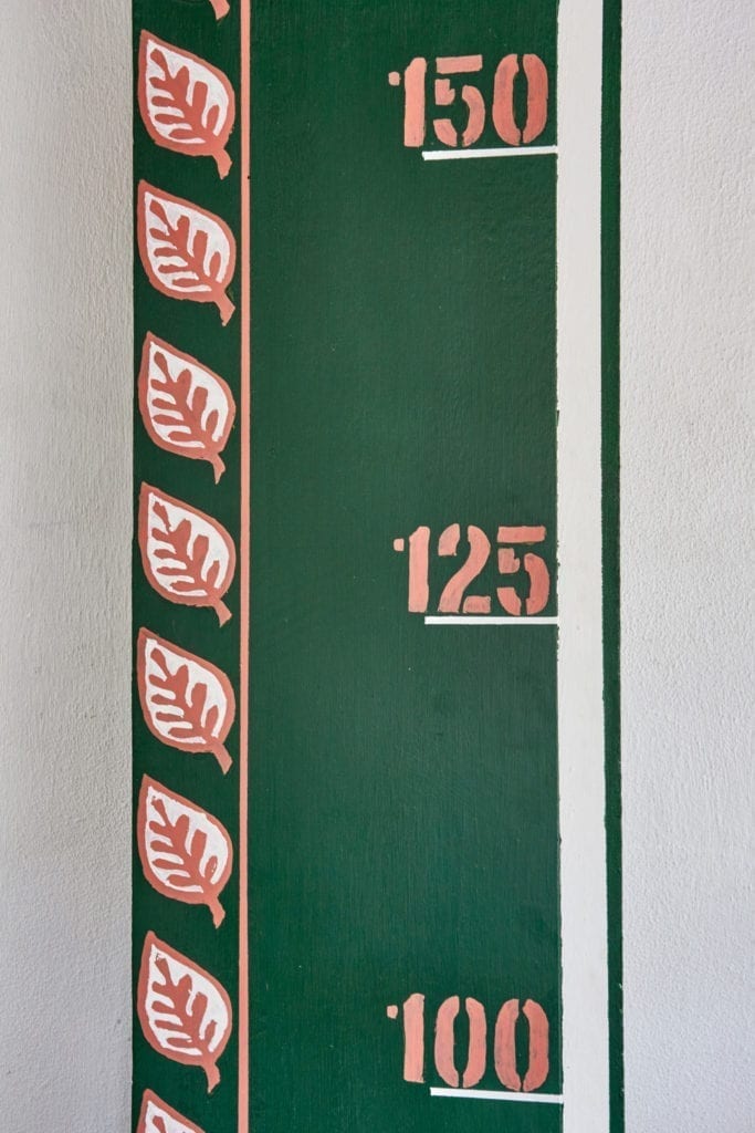 Batik Leopard Print Cupboard by Annie Sloan Painters in Residence shed eleven measuring stick painted with Chalk Paint® in Amsterdam Green