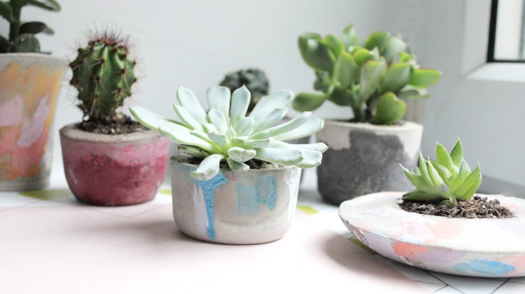 Make your own Chalk Paint® Concrete Pots with Annie Sloan Painter in Residence Hester van Overbeek, planted with succulents and cactus