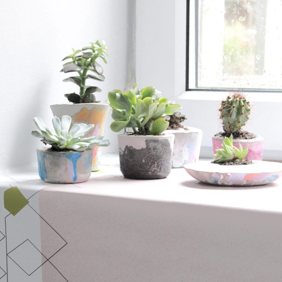 Make your own Chalk Paint® Concrete Pots with Annie Sloan Painter in Residence Hester van Overbeek, planted with succulents and cactus