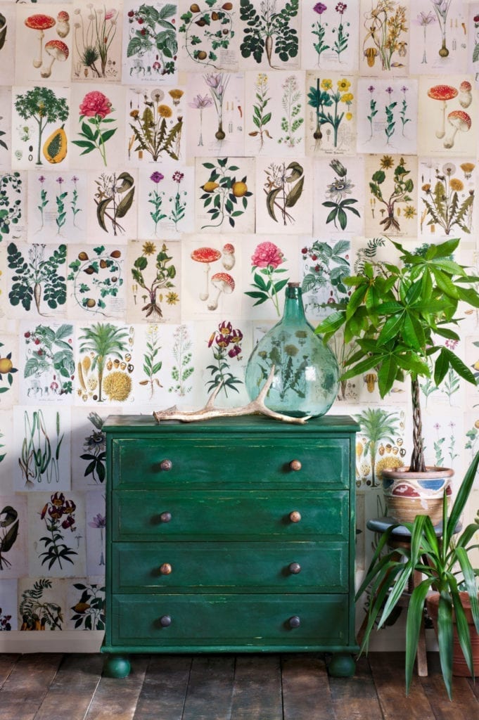 Chest of Drawers painted with Chalk Paint® by Annie Sloan in Amsterdam Green with botanical prints as wallpaper