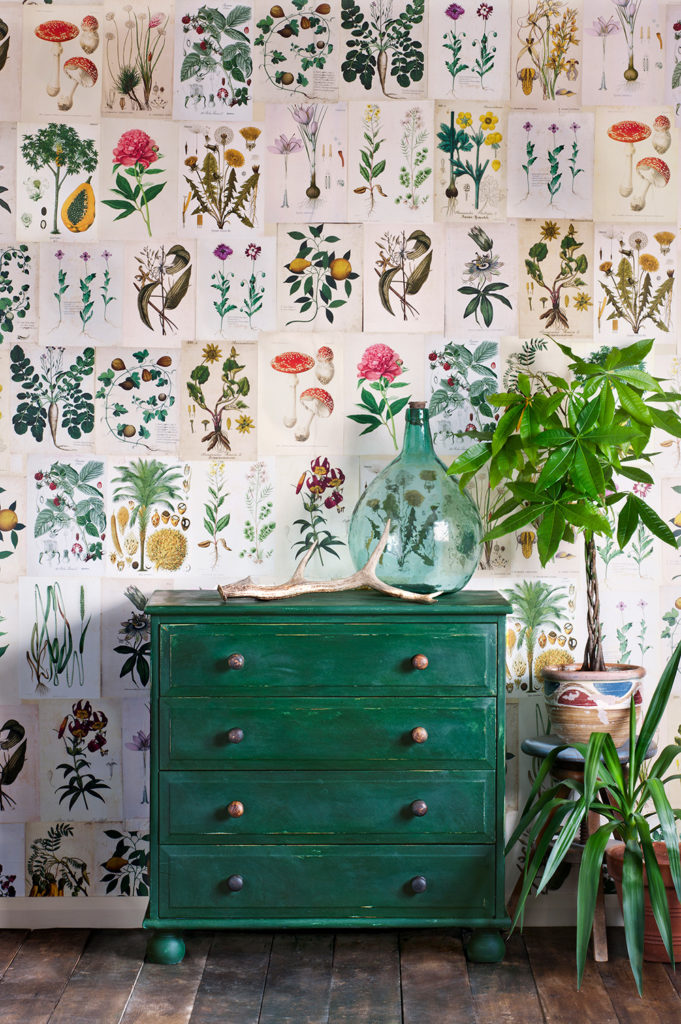 A chest of drawers painted in Annie Sloan's Amsterdam Chalk Paint®