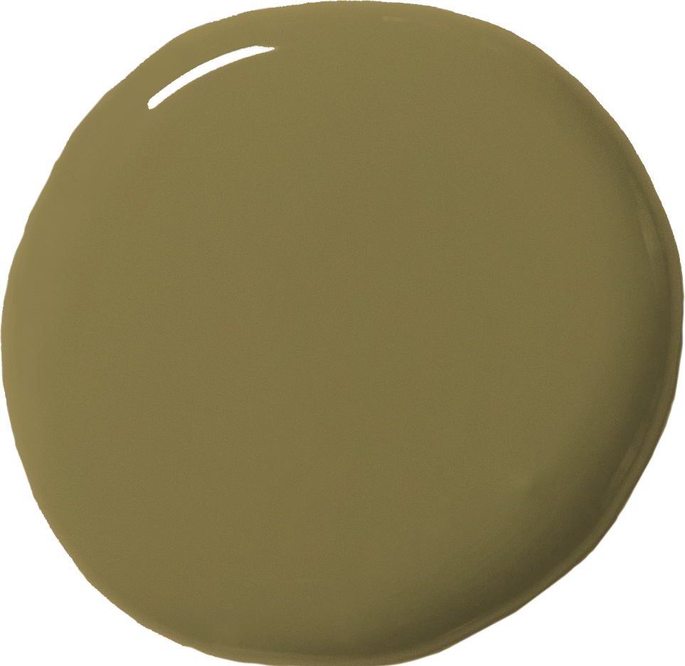 Annie Sloan's Olive green wall paint blob swatch