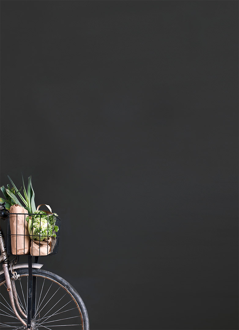 Graphite wall paint by Annie Sloan with a bike