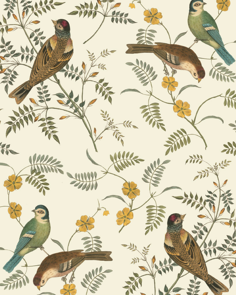 Songbirds decoupage by Annie Sloan and RHS