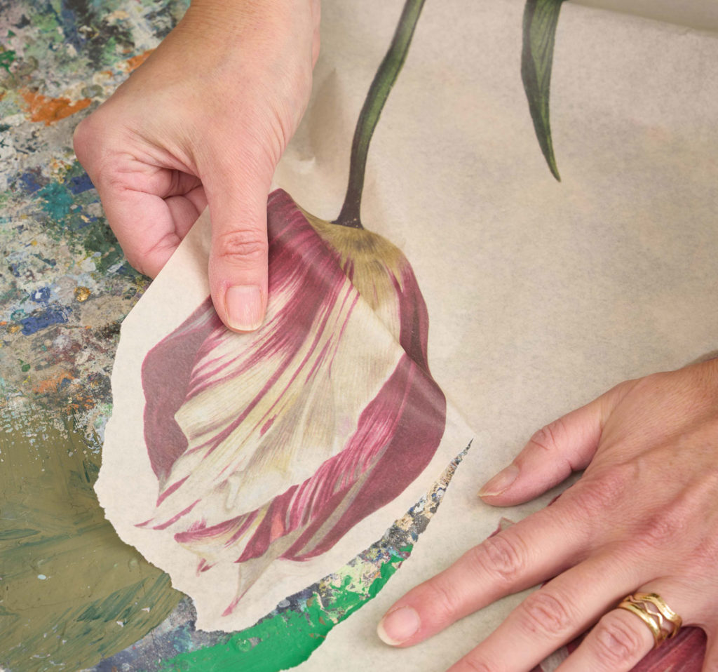 Close Up Dutch Tulips Decoupage Papers Being Torn