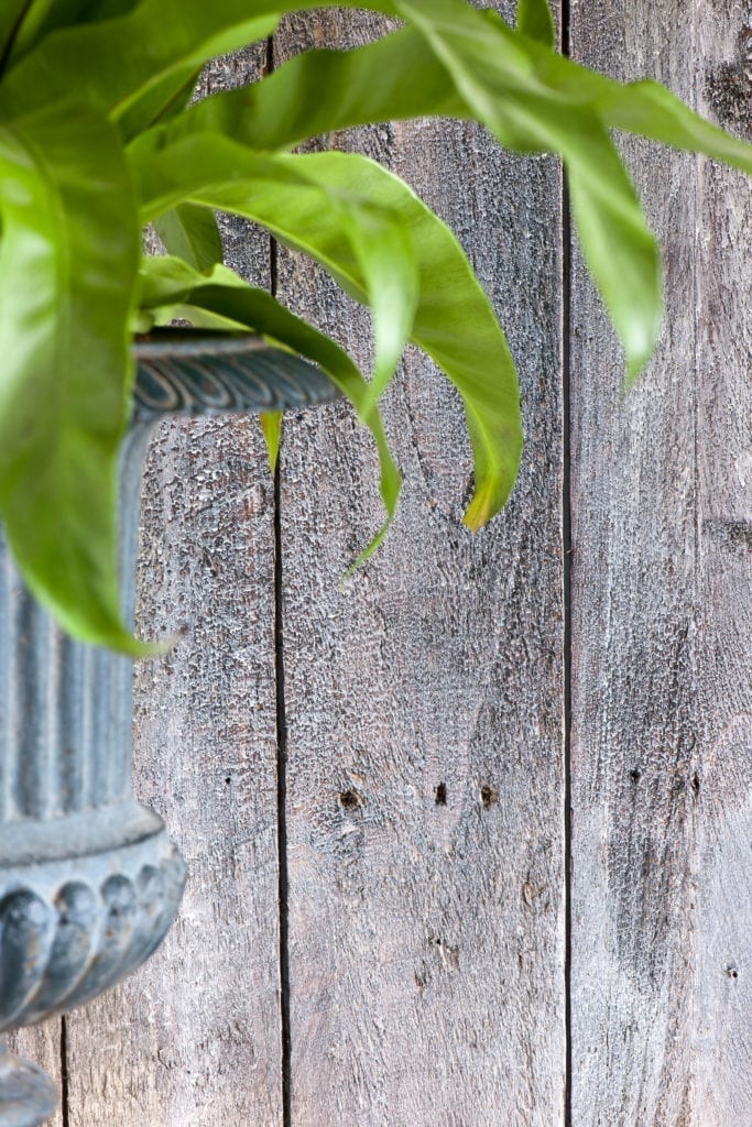 Dark Waxed and Painted Rustic Wood Wall from Annie Sloan Paints Everything published by Cico Books photos by Christopher Drake