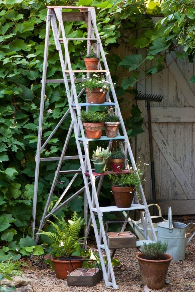 Painted Garden Step Ladder with Chalk Paint® by Annie Sloan with flower pots