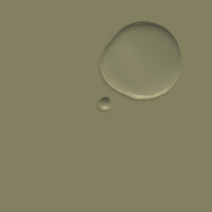 Exemple humide et sec de la peinture Olive d'Annie Sloan