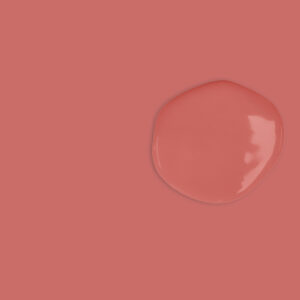 Annie Sloan - Sandalwood Red Wet & Dry Swatch