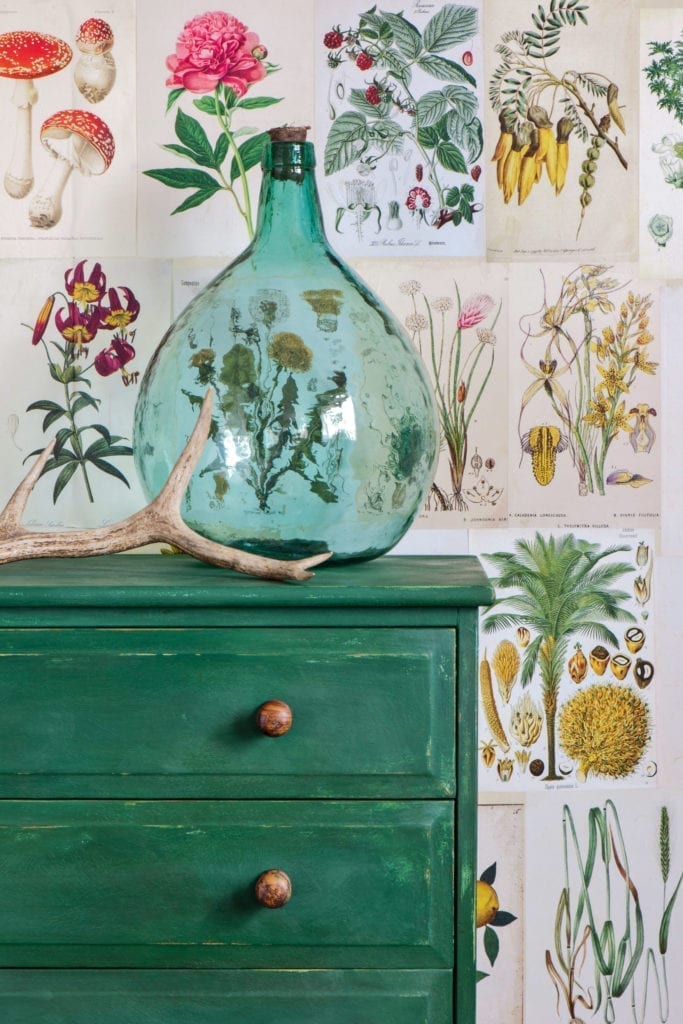 Chest of Drawers painted with Chalk Paint® by Annie Sloan in Amsterdam Green with botanical prints as wallpaper