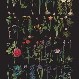 Zbliżenie na decoupage „Formal Garden” Annie Sloan
