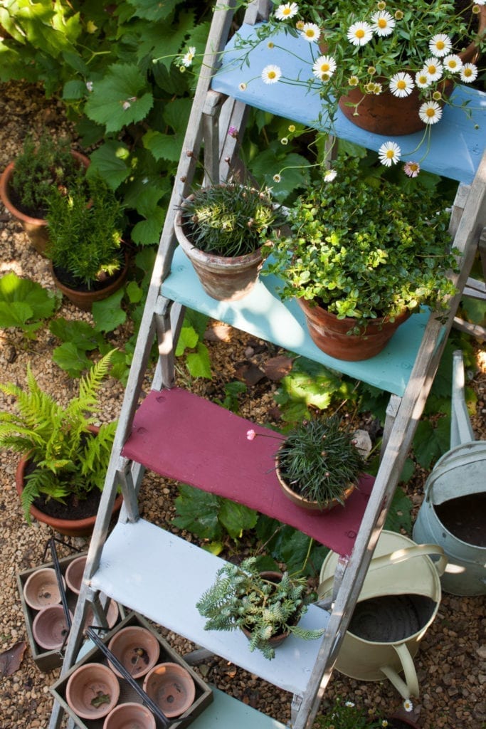 Painted Garden Step Ladder with Chalk Paint® by Annie Sloan with flower pots. Steps painted with Greek Blue, Provence, Burgundy and Louis Blue