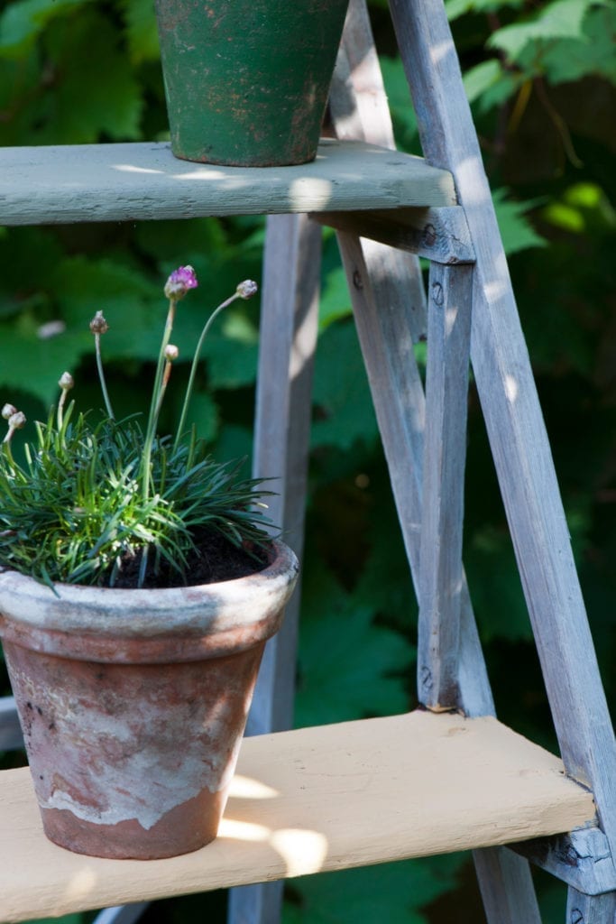 Painted Garden Step Ladder with Chalk Paint® by Annie Sloan with flower pots. Steps painted with Olive and Old Ochre