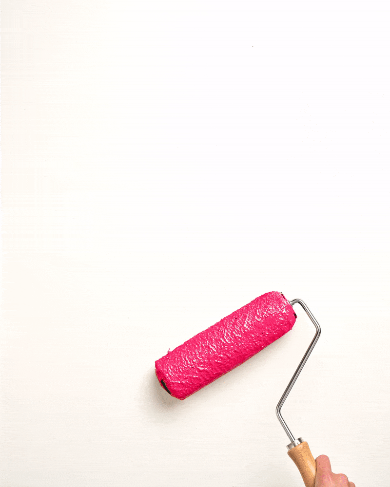 Capri Pink Wall Paint Roller Application Gif