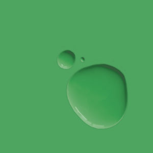 Mokra i sucha próbka kolorystyczna farby Annie Sloan w kolorze Schinkel Green