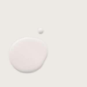 Annie Sloan - Rococo White Wet & Dry Swatch