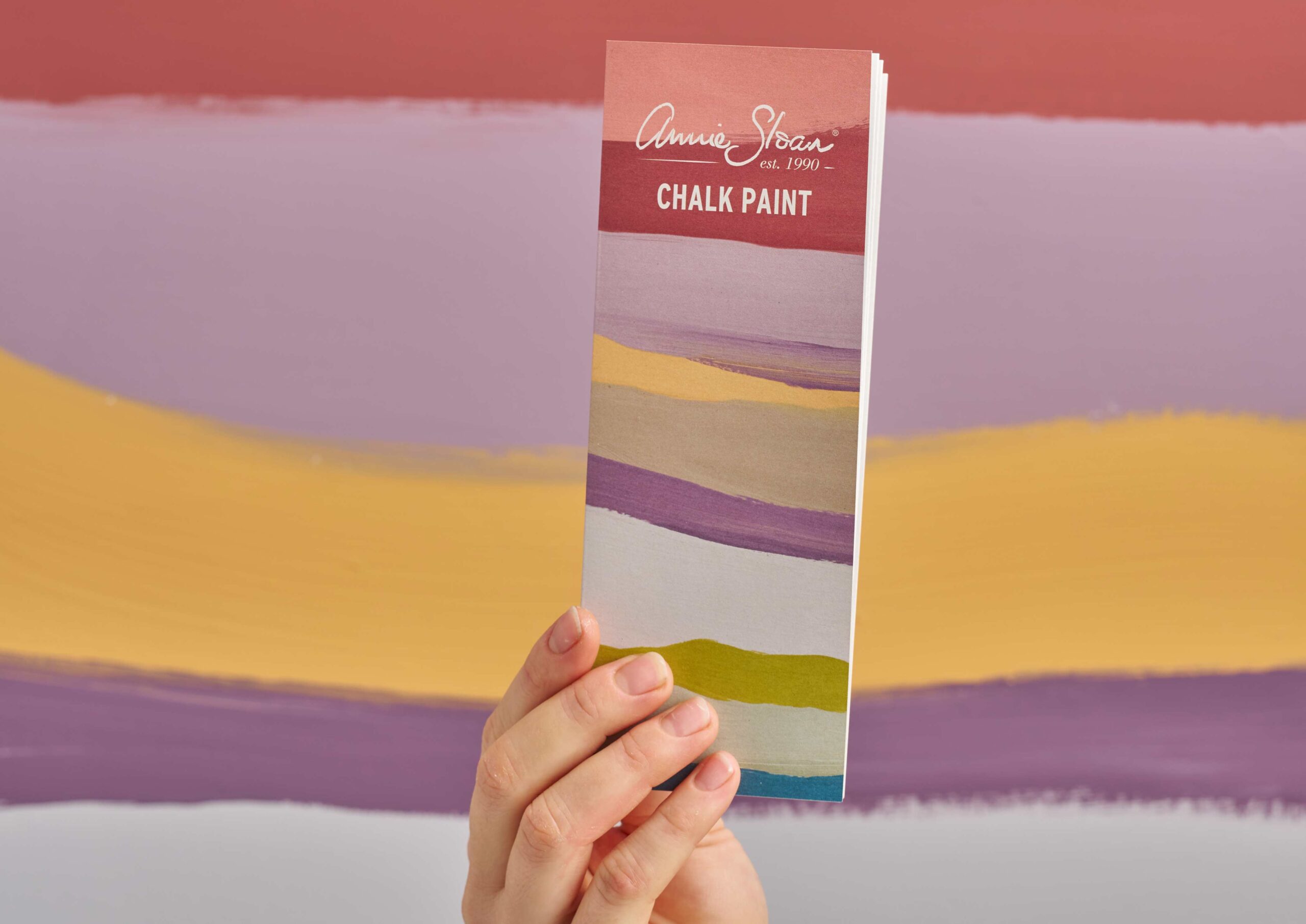 Deluxe Starter Kit for Chalk Paint® by Annie Sloan