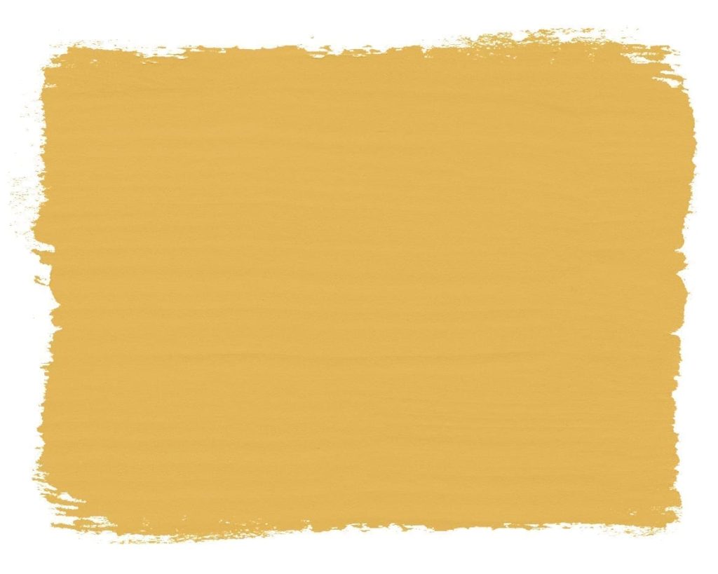 Paint swatch of Tilton Chalk Paint® furniture paint by Annie Sloan, a bright, earthy mustard yellow