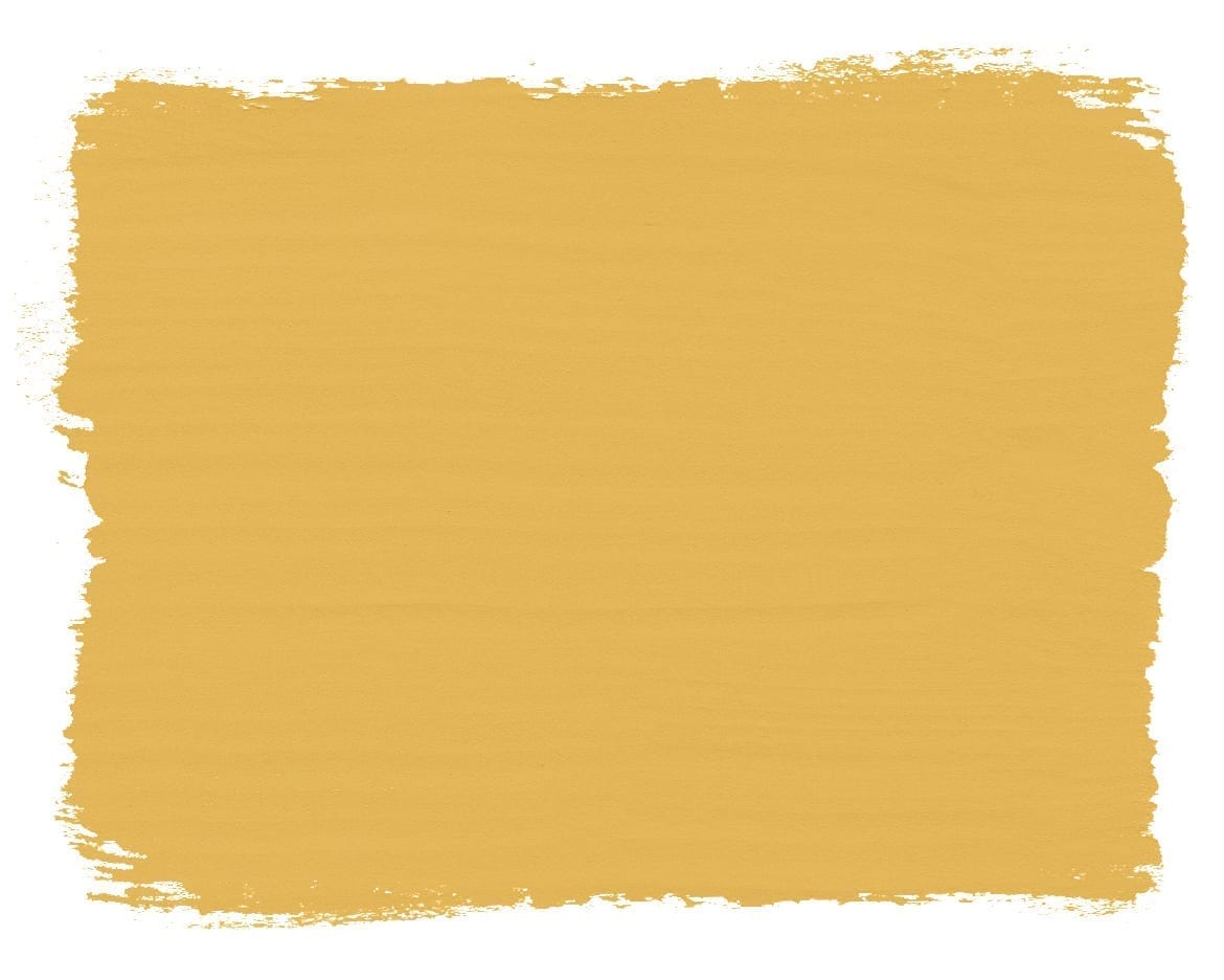 Paint swatch of Tilton Chalk Paint® furniture paint by Annie Sloan, a bright, earthy mustard yellow