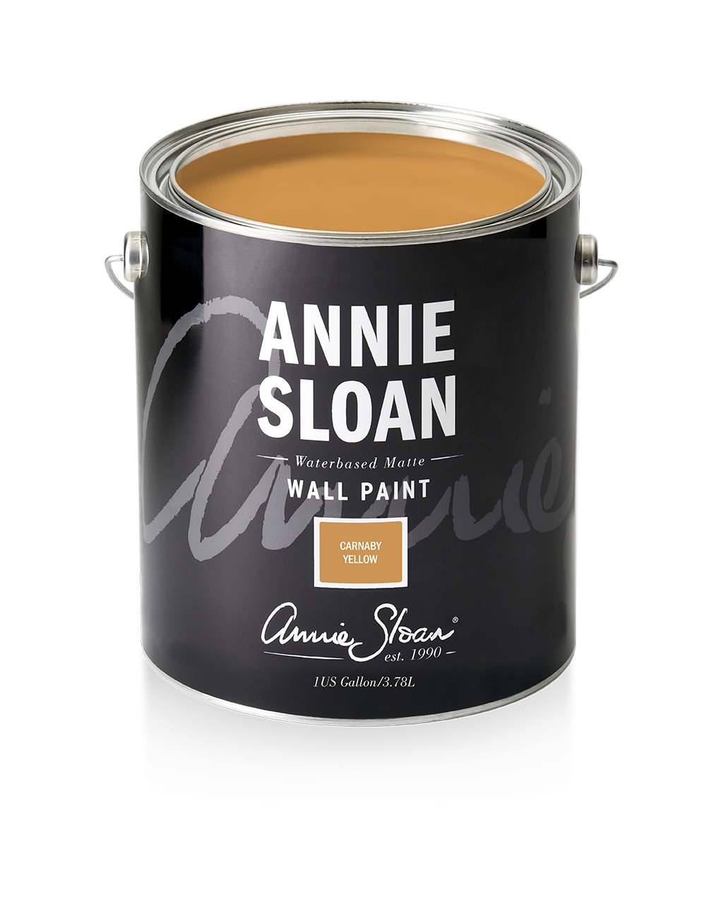 Annie Sloan Wall Paint Tin Carnaby Yellow