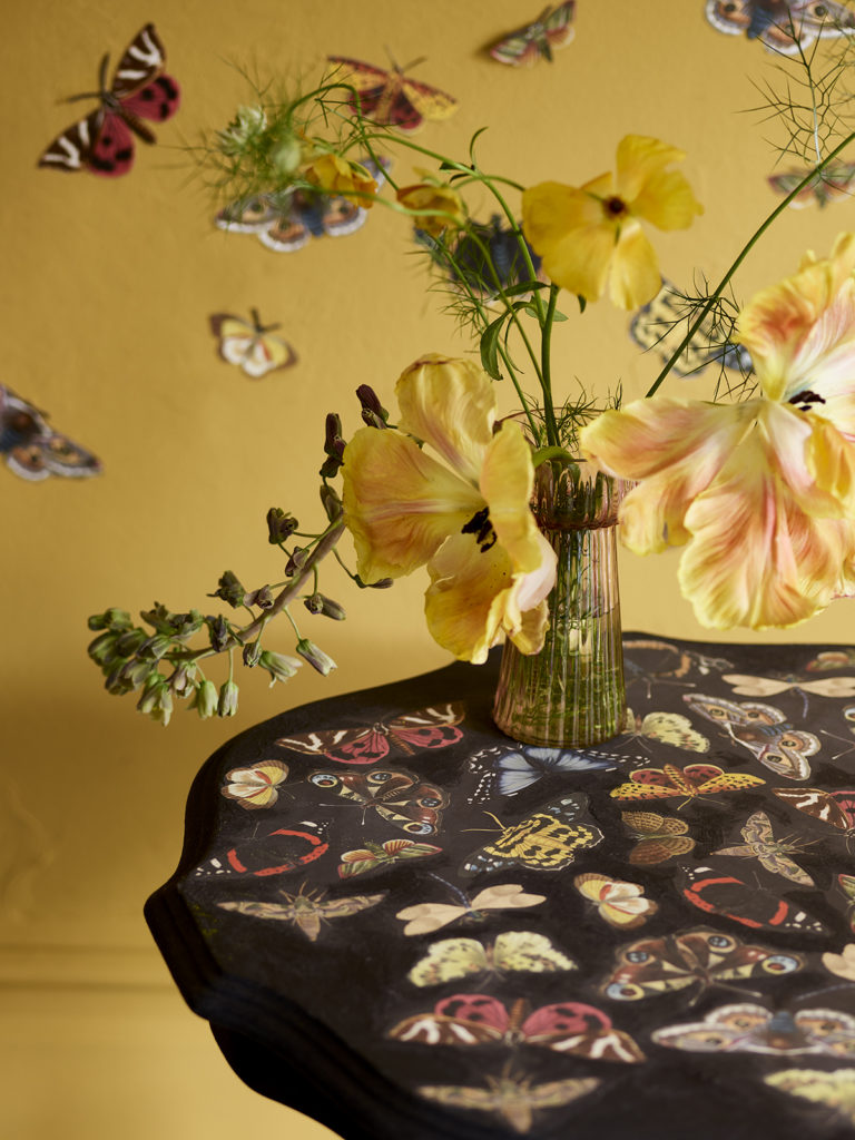 Close up of Annie Sloan's Winged Wildlife on a side table