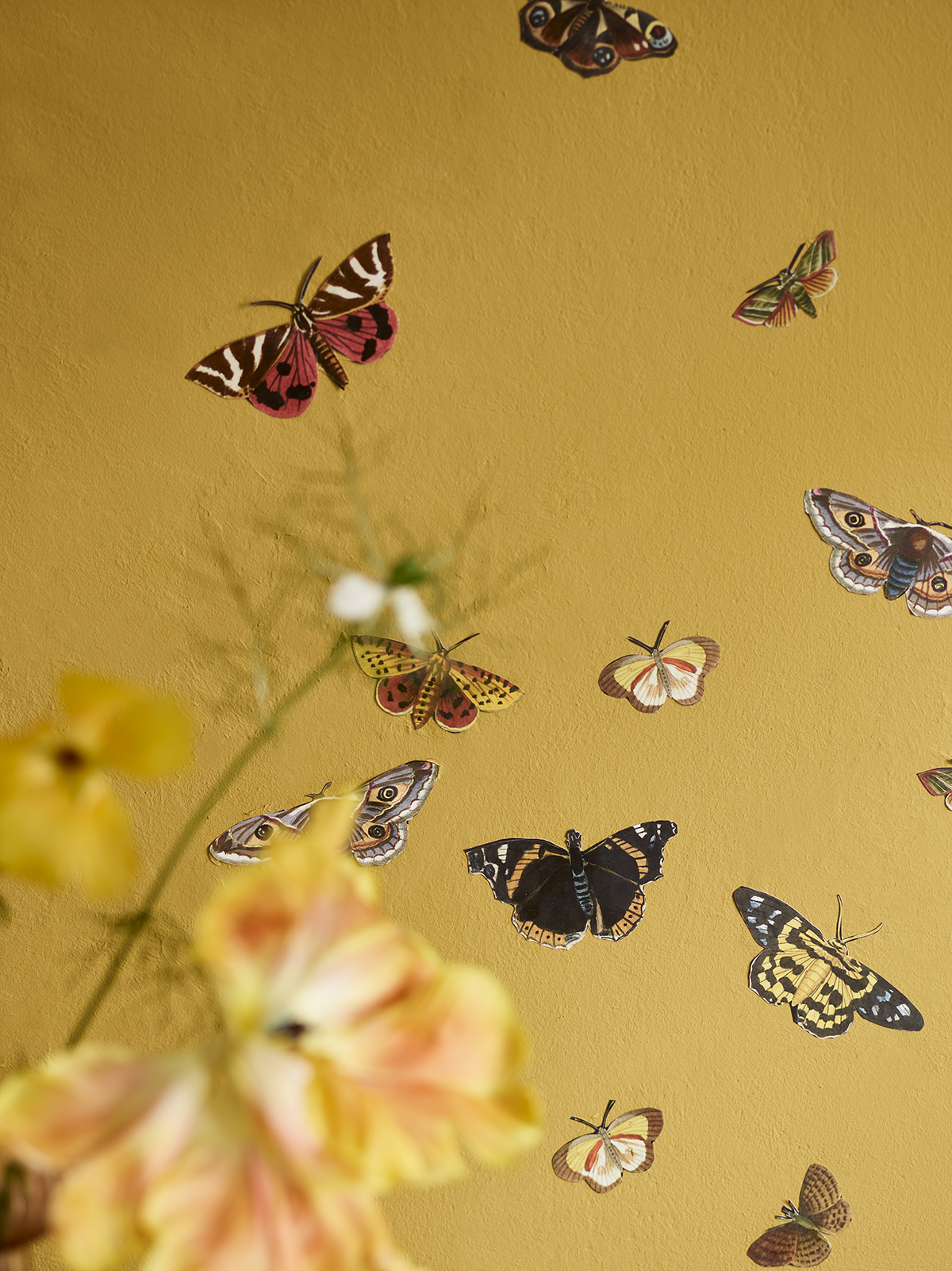 Close up of butterfly decoupage used on a wall by Annie Sloan