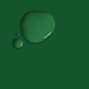 Wet and dry example swatch of Annie Sloan's Amsterdam Green paint
