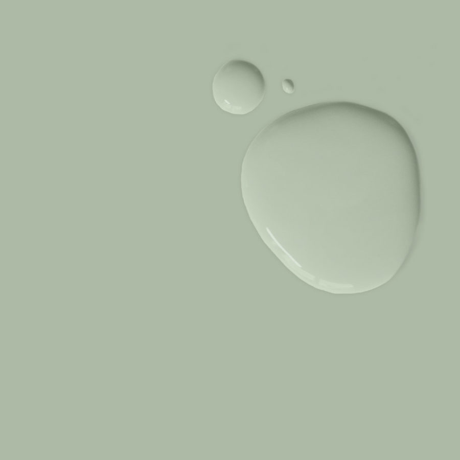 Wet and dry example swatch of Annie Sloan's Terre Verte paint