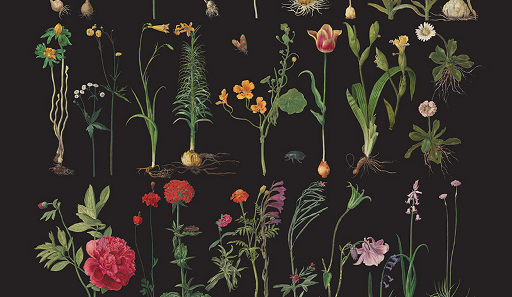 Annie Sloan RHS Decoupage Papers Formal Garden Design