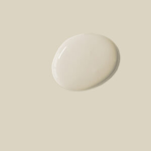 Wet and dry canvas swatch chalk paint