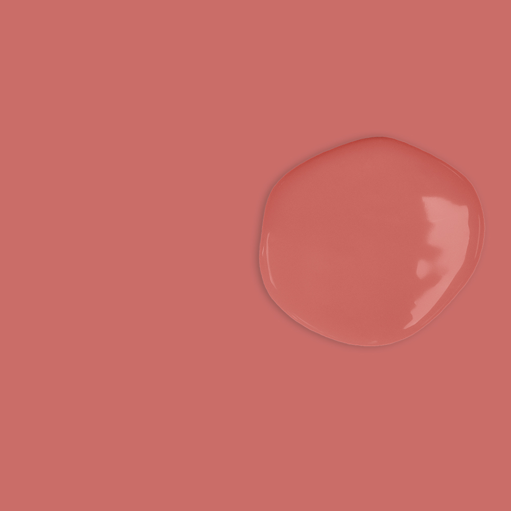 Annie Sloan - Sandalwood Red Wet & Dry Swatch