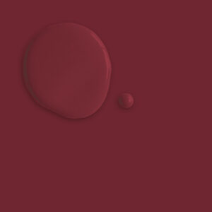 Burgundy Wet/Dry Paint Swatch