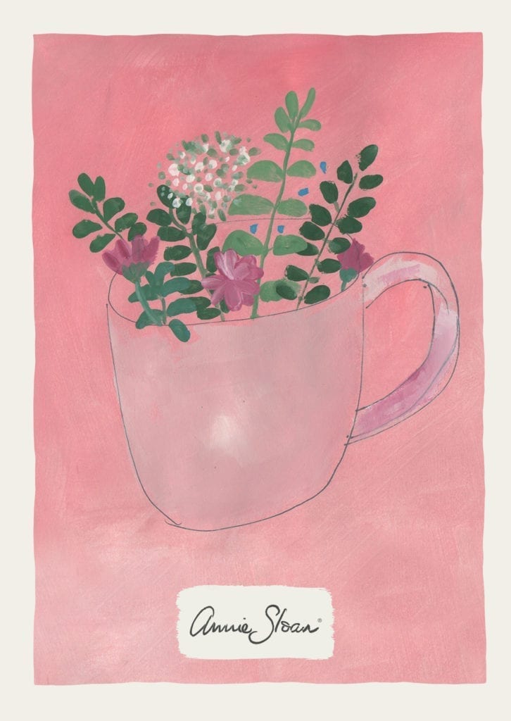 Annie Sloan Gift Card - Pink Chalk Paint® Flowers Teacup design