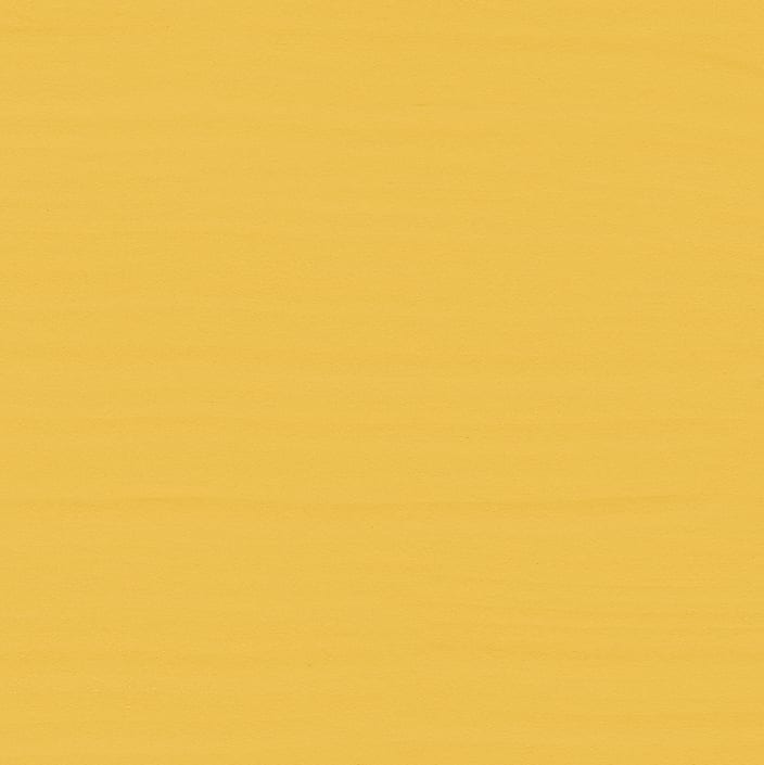 Paint swatch of Tilton Chalk Paint® furniture paint by Annie Sloan, a bright, earthy mustard yellow