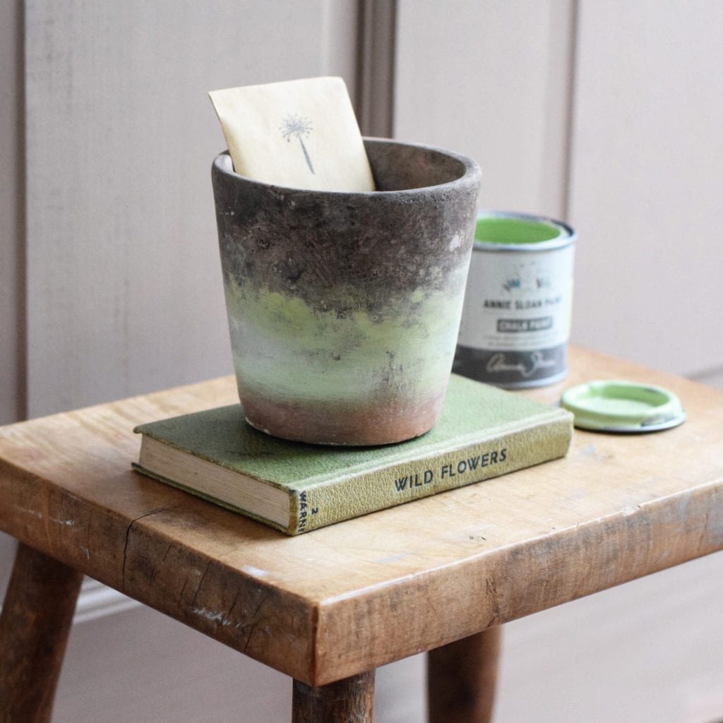 Hayley Stuart's plant pot painted with Chalk Paint® by Annie Sloan in Lem Lem