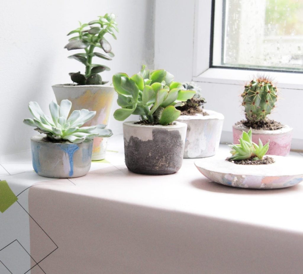 Make your own Chalk Paint® Concrete Pots with Annie Sloan Painter in Residence Hester van Overbeek, planted with succulents and cactus