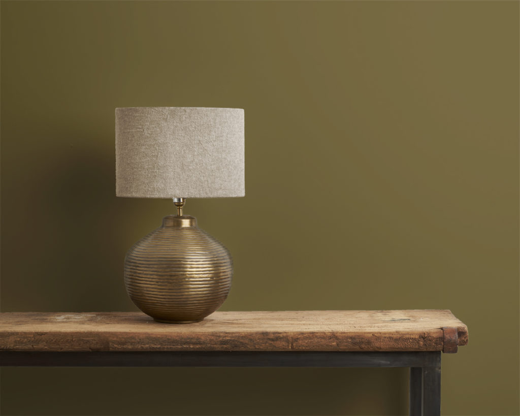 Olive wall paint by Annie Sloan painted on a wall
