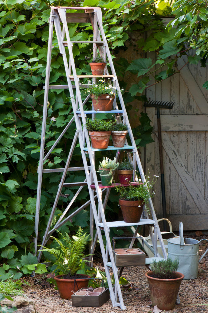 Annie Sloan Painted Garden Step Ladder in Chalk Paint featuring Garden Flower Pots