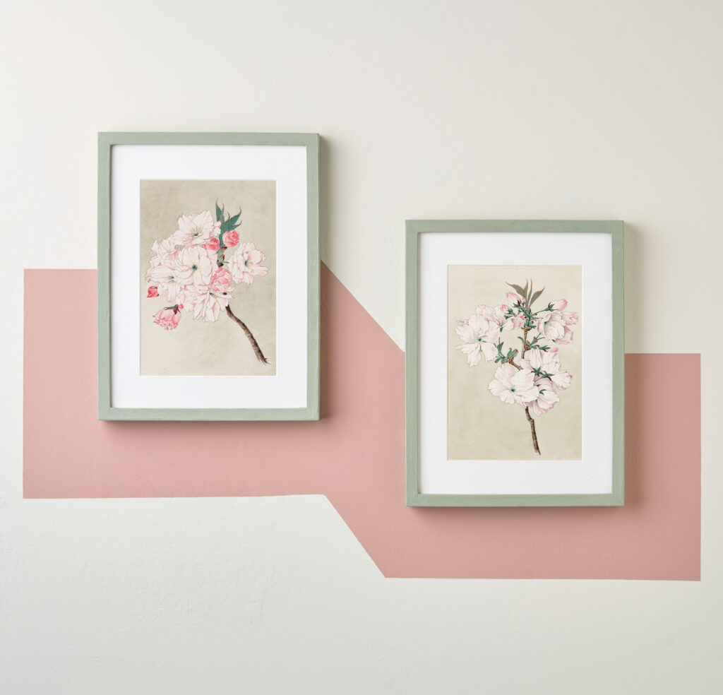 Annie Sloan Wall Paint used to frame artwork on a wall