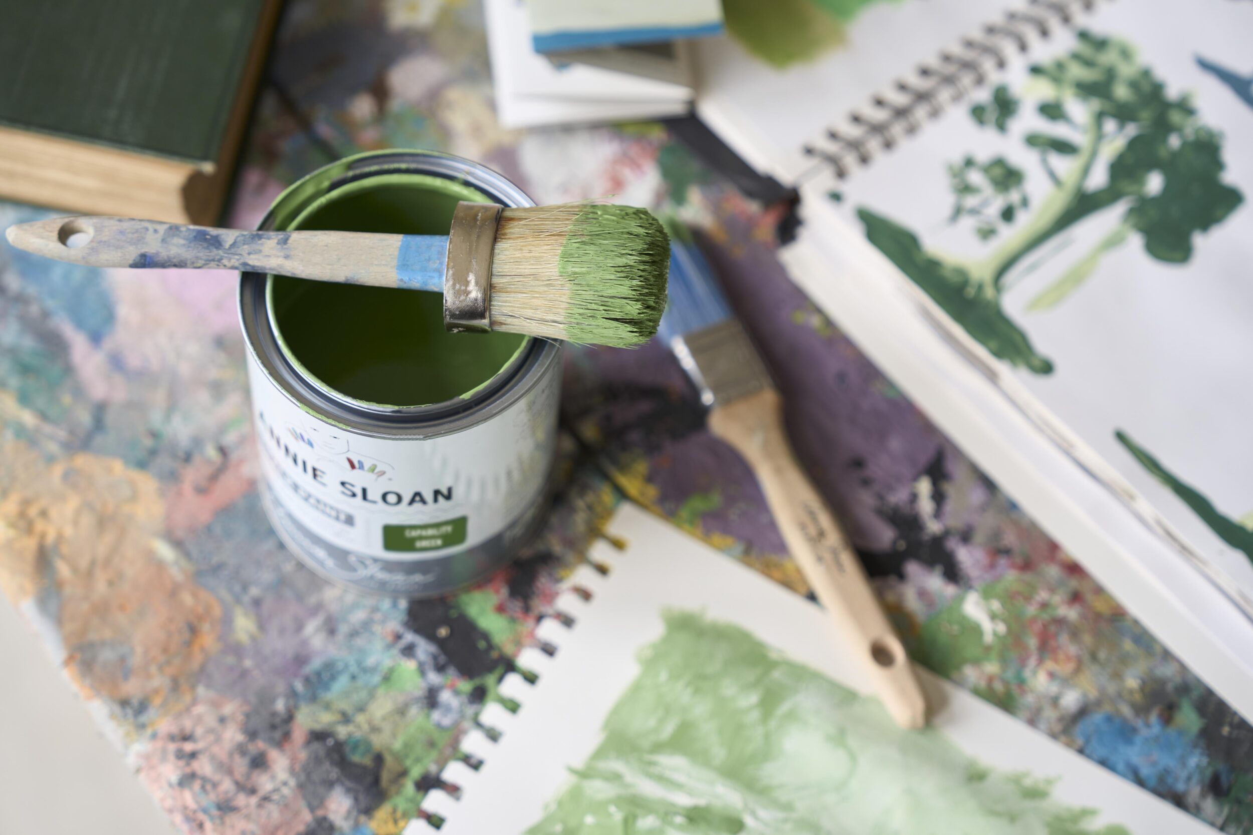 Capability Green Chalk Paint tin and brush