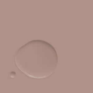 Jaipur Pink Chalk Paint Wet & Dry Swatch - Annie Sloan