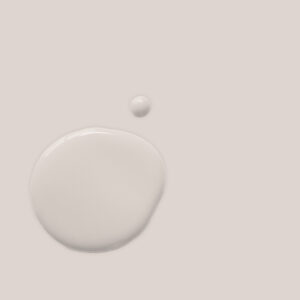 Rococo White Chalk Paint Dry & Wet Swatch - Annie Sloan